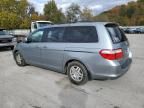 2007 Honda Odyssey EXL