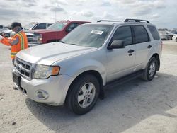 Salvage cars for sale from Copart Arcadia, FL: 2010 Ford Escape XLT