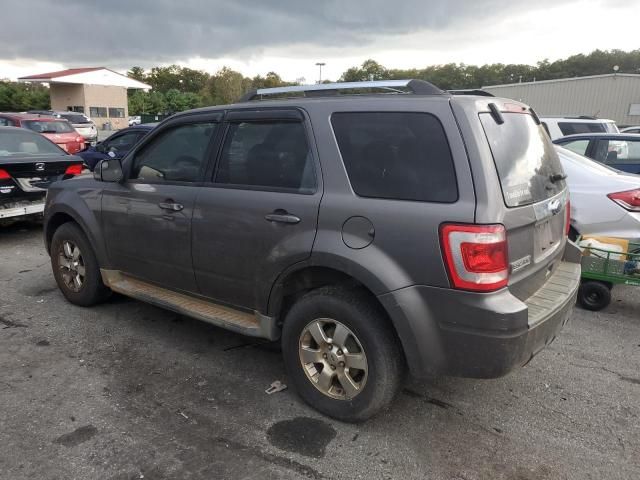 2011 Ford Escape Limited