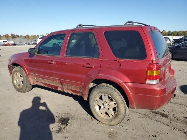 2005 Ford Escape Limited