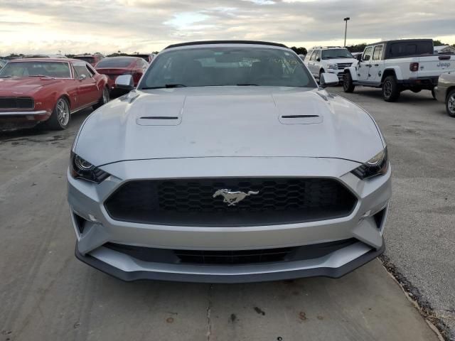 2019 Ford Mustang