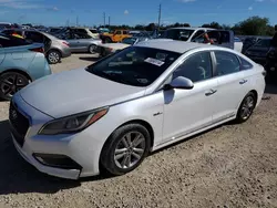 Salvage cars for sale at Arcadia, FL auction: 2016 Hyundai Sonata Hybrid