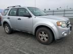 2010 Ford Escape XLS