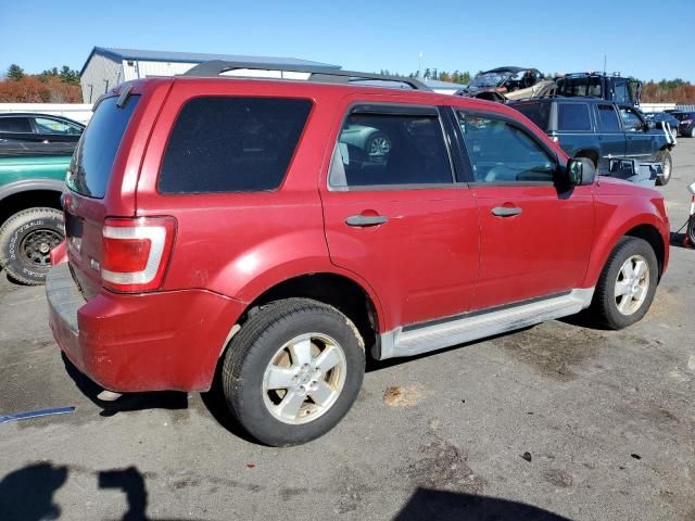 2010 Ford Escape XLT