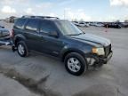 2008 Ford Escape XLT