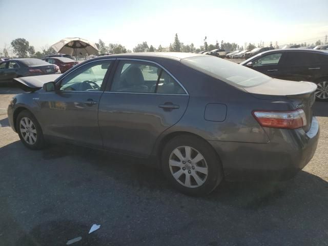 2009 Toyota Camry Hybrid