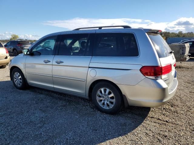 2008 Honda Odyssey EXL