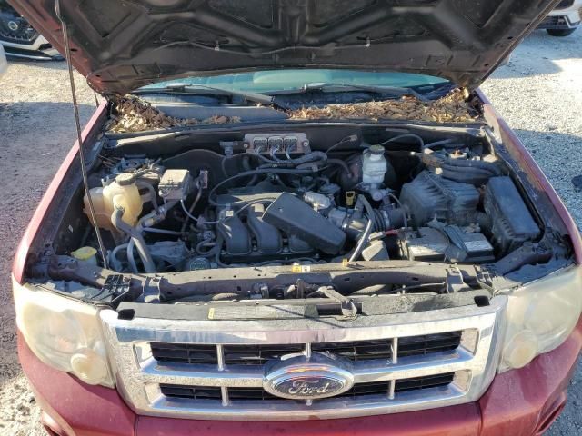 2008 Ford Escape XLT