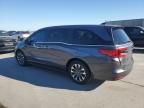 2024 Honda Odyssey EXL