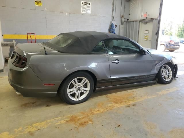 2013 Ford Mustang