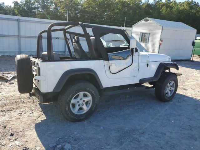 1993 Jeep Wrangler / YJ