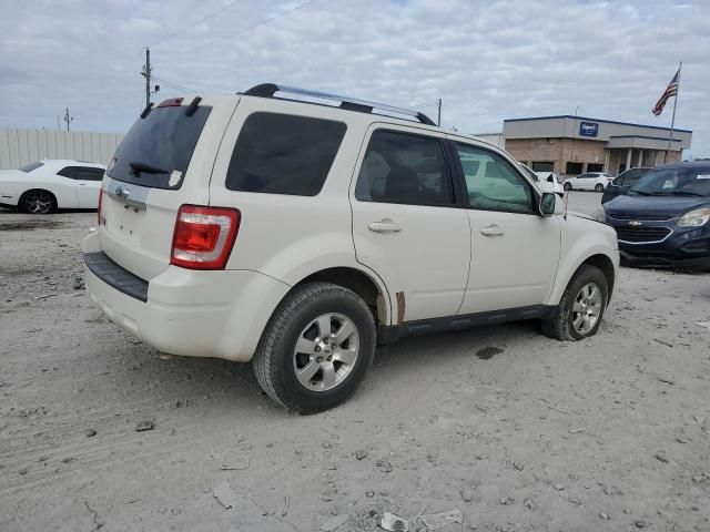 2009 Ford Escape Limited