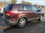 2011 KIA Sorento Base