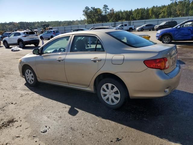 2010 Toyota Corolla Base