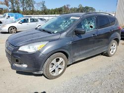 Ford Escape se salvage cars for sale: 2016 Ford Escape SE