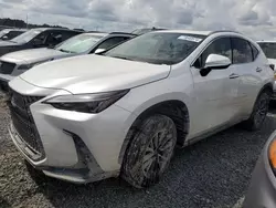 Salvage cars for sale at Riverview, FL auction: 2025 Lexus NX 250 Premium