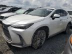 2025 Lexus NX 250 Premium