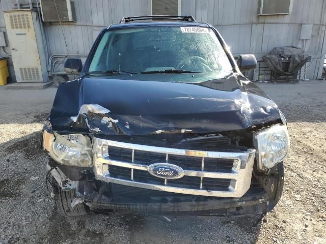 2008 Ford Escape XLT