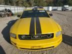 2006 Ford Mustang