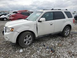 Ford salvage cars for sale: 2010 Ford Escape Limited