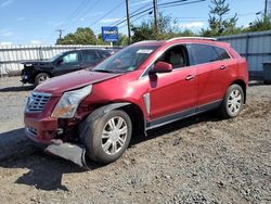 Cadillac salvage cars for sale: 2013 Cadillac SRX Luxury Collection