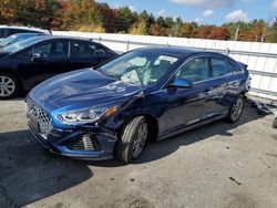 Hyundai salvage cars for sale: 2019 Hyundai Sonata Limited