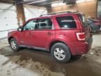 2008 Ford Escape XLT