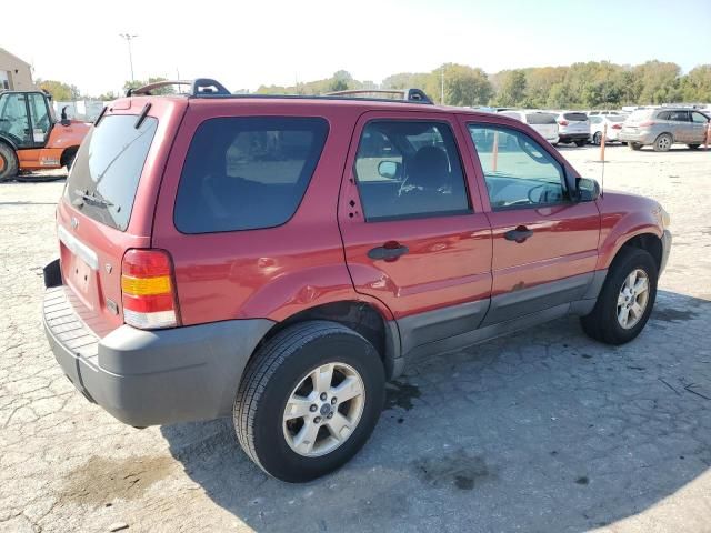 2005 Ford Escape XLT