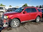 2011 Ford Escape Limited