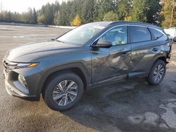 2024 Hyundai Tucson Blue en venta en Arlington, WA