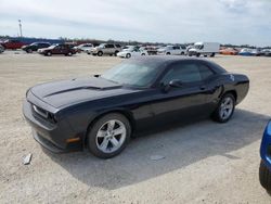 2012 Dodge Challenger SXT en venta en Arcadia, FL