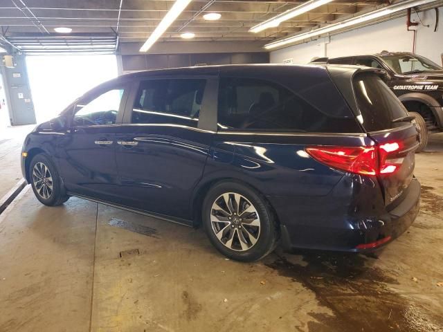 2022 Honda Odyssey EXL