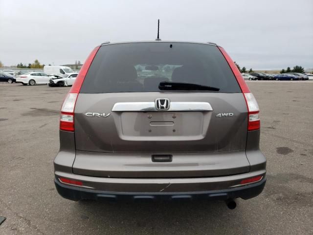 2010 Honda CR-V EXL