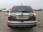 2010 Honda CR-V EXL