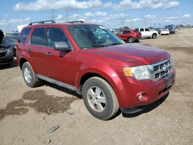 2009 Ford Escape XLT