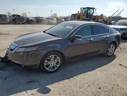 Salvage cars for sale at Indianapolis, IN auction: 2010 Acura TL