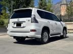 2017 Lexus GX 460