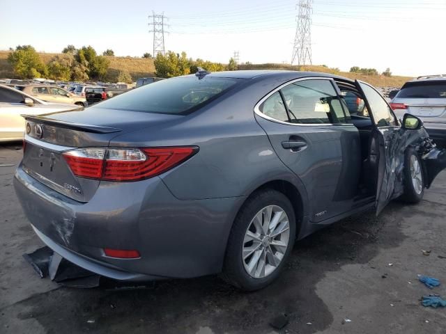 2014 Lexus ES 300H