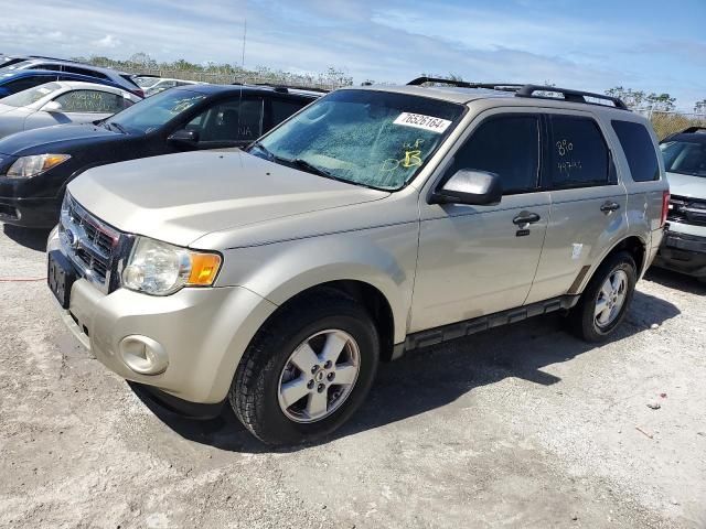 2010 Ford Escape XLT