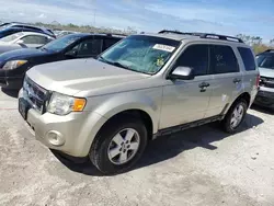 Flood-damaged cars for sale at auction: 2010 Ford Escape XLT