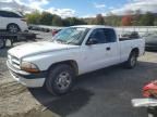 2001 Dodge Dakota