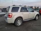 2008 Ford Escape Limited