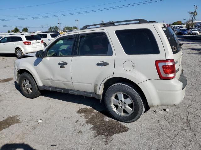 2011 Ford Escape XLT