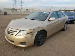 Toyota salvage cars for sale: 2010 Toyota Camry Base