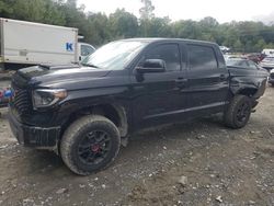 Toyota Tundra Vehiculos salvage en venta: 2020 Toyota Tundra Crewmax SR5