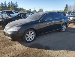 Lexus salvage cars for sale: 2008 Lexus ES 350