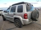 2004 Jeep Liberty Renegade