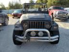 1997 Jeep Wrangler / TJ SE