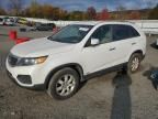 2012 KIA Sorento Base