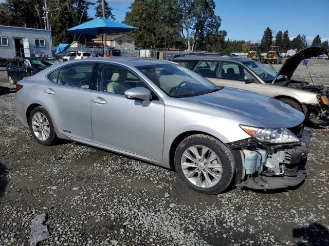 2015 Lexus ES 300H